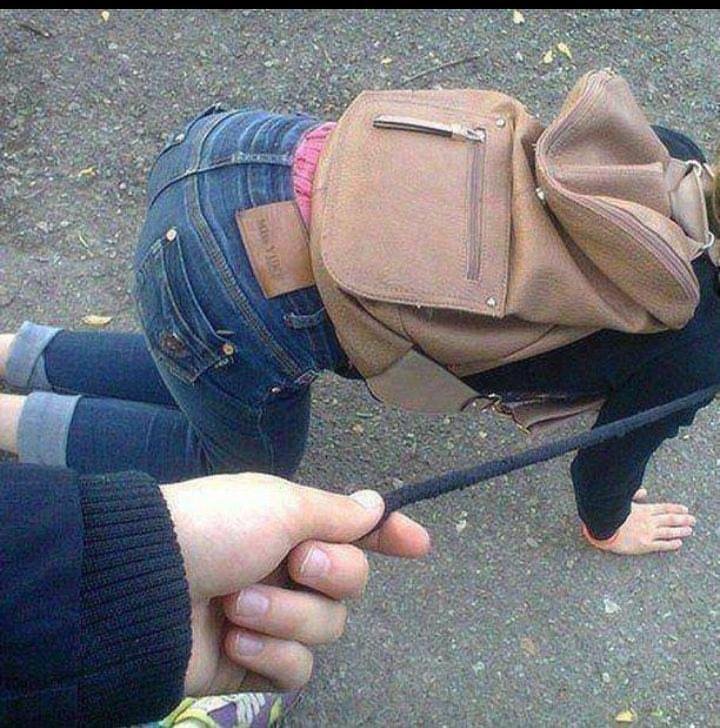 dedengineer's tweet photo. my pet also against of misogyny mindset https://t.co/LXz2vgTzQN
