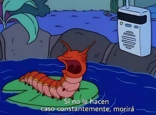 MeeMesm0's tweet photo. @aglol0 Al menos monetiza tus pendejadas. https://t.co/BpxdMwURhs