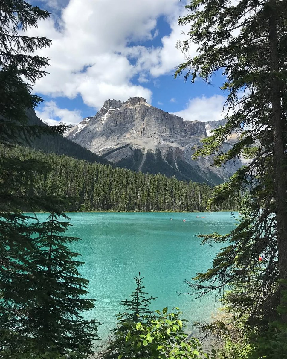 Canada's tweet photo. It’s officially summer in Canada! From outdoor adventures to local experiences, there are countless ways to make the most of this sunny season. What’s on your Canadian #SummerBucketList this year?☀️

📷swiftypaddler/IG
📷itstomjoseph/IG
📷debbie.belway/IG https://t.co/ybmks5c7HQ
