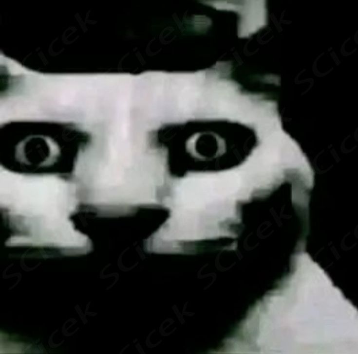 douceann's tweet photo. yo minimizando mí dolor detrás del ojo, hasta que mis papás me recordaron que mí abuelo perdió un ojo por presión ocular https://t.co/Cdxc6T3ZgK