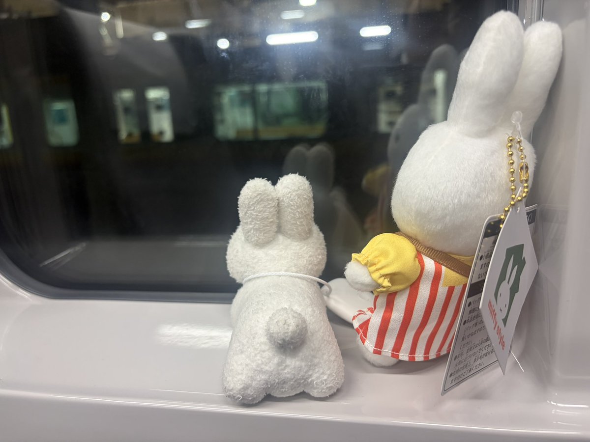chikun_'s tweet photo. グリーン車も新宿からだと座れないね。
国分寺でやっと座れた。 https://t.co/JrQpggDgw7
