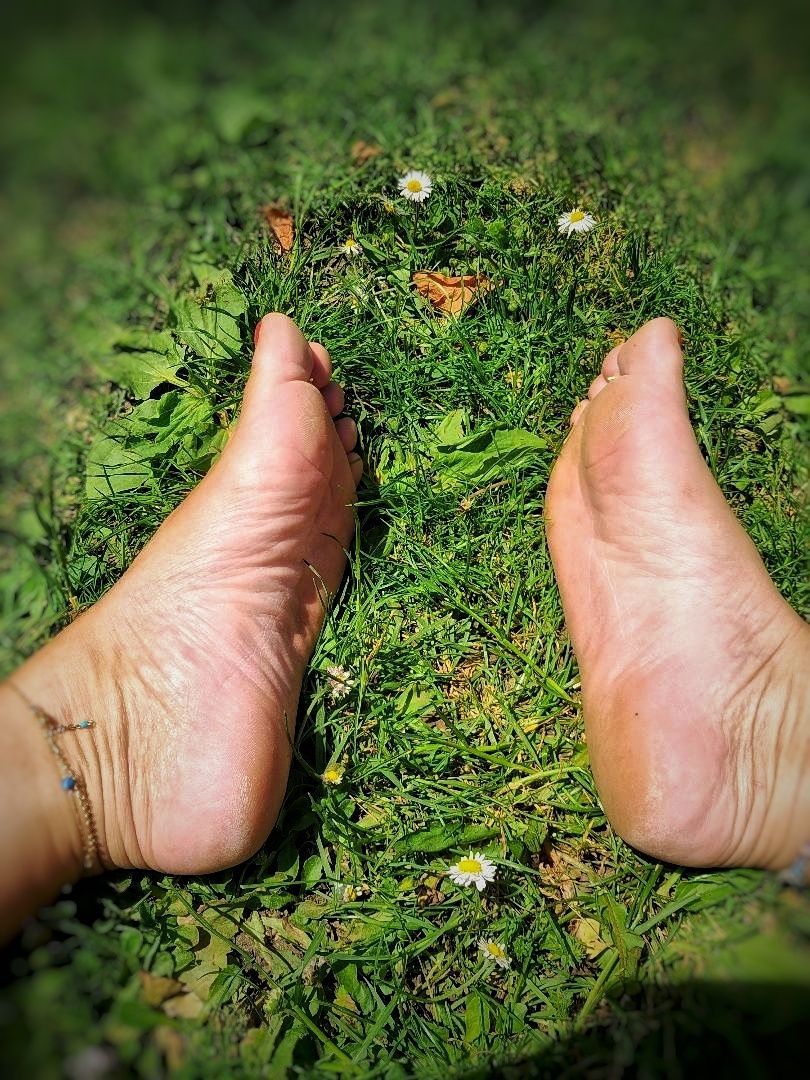Willow Littletoe tweet media