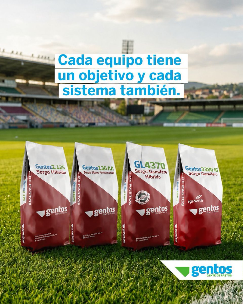 GentosUy's tweet photo. Hay planteos que priorizan pastoreo directo, silo o grano. Por eso no existe un único sorgo para todas las situaciones.

La elección del material empieza por entender qué necesita resolver dentro del sistema.

📅 Promoción válida hasta el 26 de junio. https://t.co/vWpv35hE4A