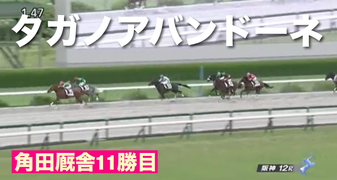 tenku0721's tweet photo. 角田厩舎 11勝目
阪神12R
ダート1800m
1番人気
#タガノアバンドーネ

圧倒的な人気を背負っての快勝

川田騎手
さすがの騎乗でした。

角田厩舎で川田騎手は珍しい
これからも乗って勝ち星を増やしてください。 https://t.co/aRrTJVh1XB