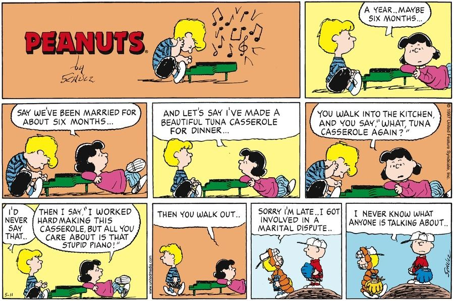 schrucy daily tweet media