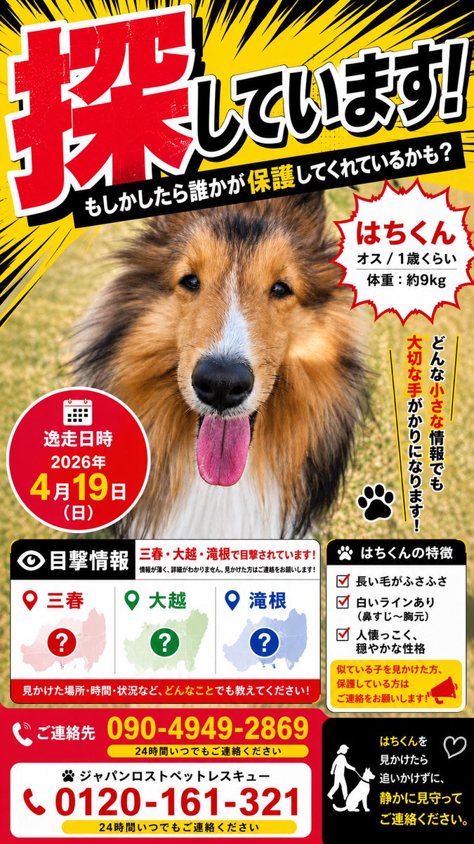 VwTmEm1GCY7tP7T's tweet photo. 最近ご近所でシェルティの成犬を迎えた方いませんか？
(保護されてる可能性あり)
似てるかも など些細な情報でも構いませんので 
連絡先までお願い致します🙏⁡
​#迷子犬 #拡散希望 #シェルティ #シェットランドシープドッグ #三春 #大越 #滝根 #田村市 #郡山市 #福島県 #福島犬 #二本松市 #いわき市 https://t.co/cQFeBGCKwi
