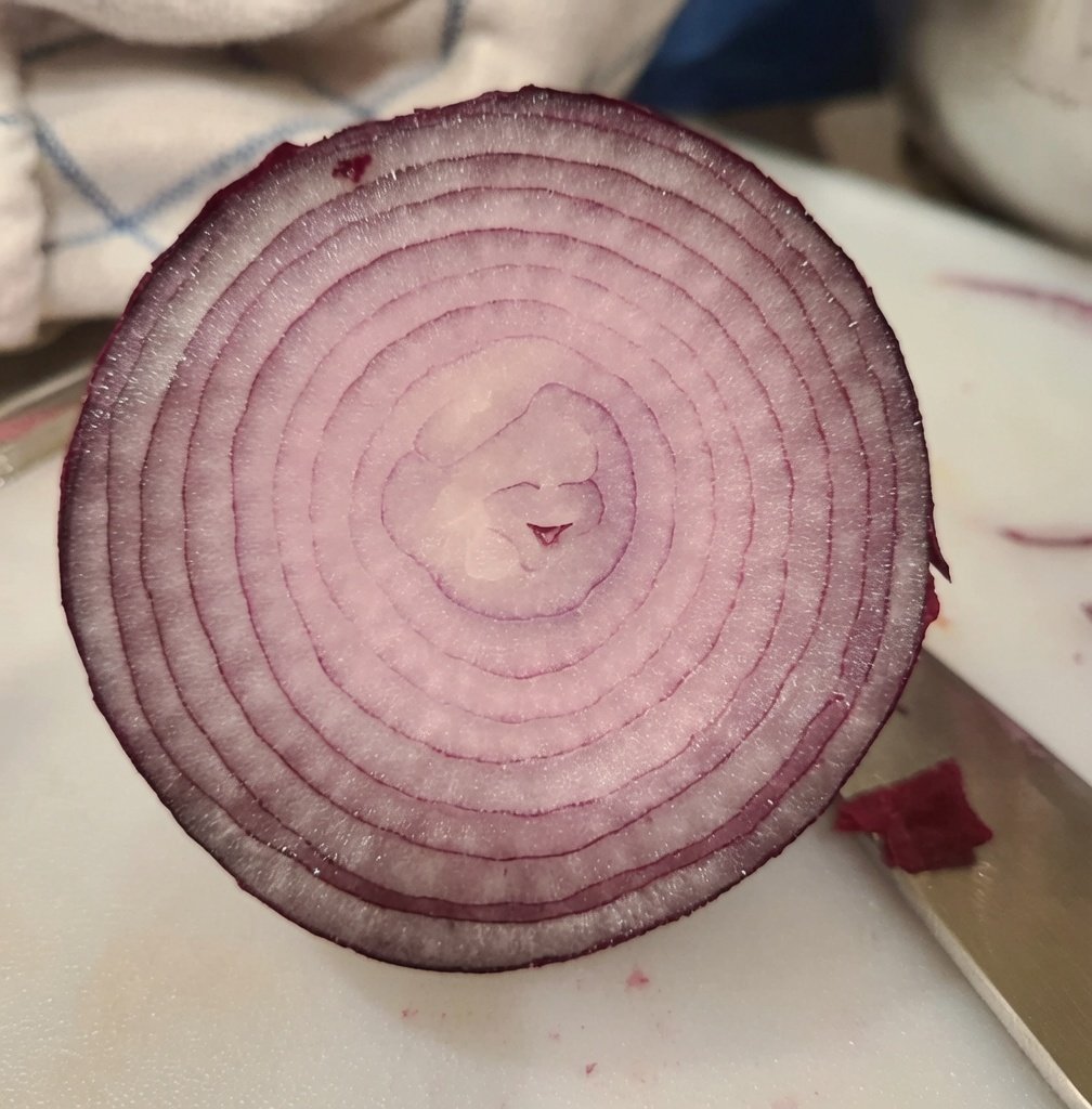 heyshipz's tweet photo. If you ignore the happy little onion, things will go badly for you this year https://t.co/QrizQAcCiL