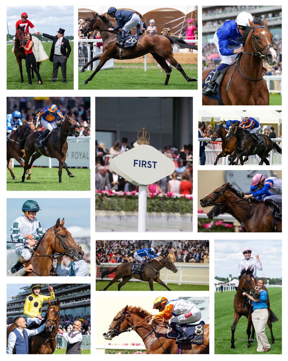 ITBA_Official's tweet photo. 🏆 What a week! 𝟐𝟒 𝐈𝐫𝐢𝐬𝐡-𝐛𝐫𝐞𝐝 champions stormed to victory at this year’s Royal Ascot!

A proud moment for Irish bloodstock, proving once again Ireland is a leader of world-class thoroughbreds💚🐎☘️

#RoyalAscot #IrishBred #ThoroughbredExcellence #RacingRoyalty https://t.co/PJhXwBGBed