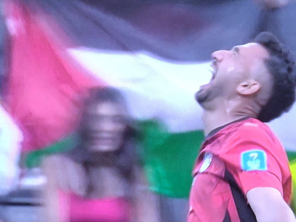Beautiful 🇵🇸 backdrop to Trézéguet celebrating Egypt's 3rd goal against ...