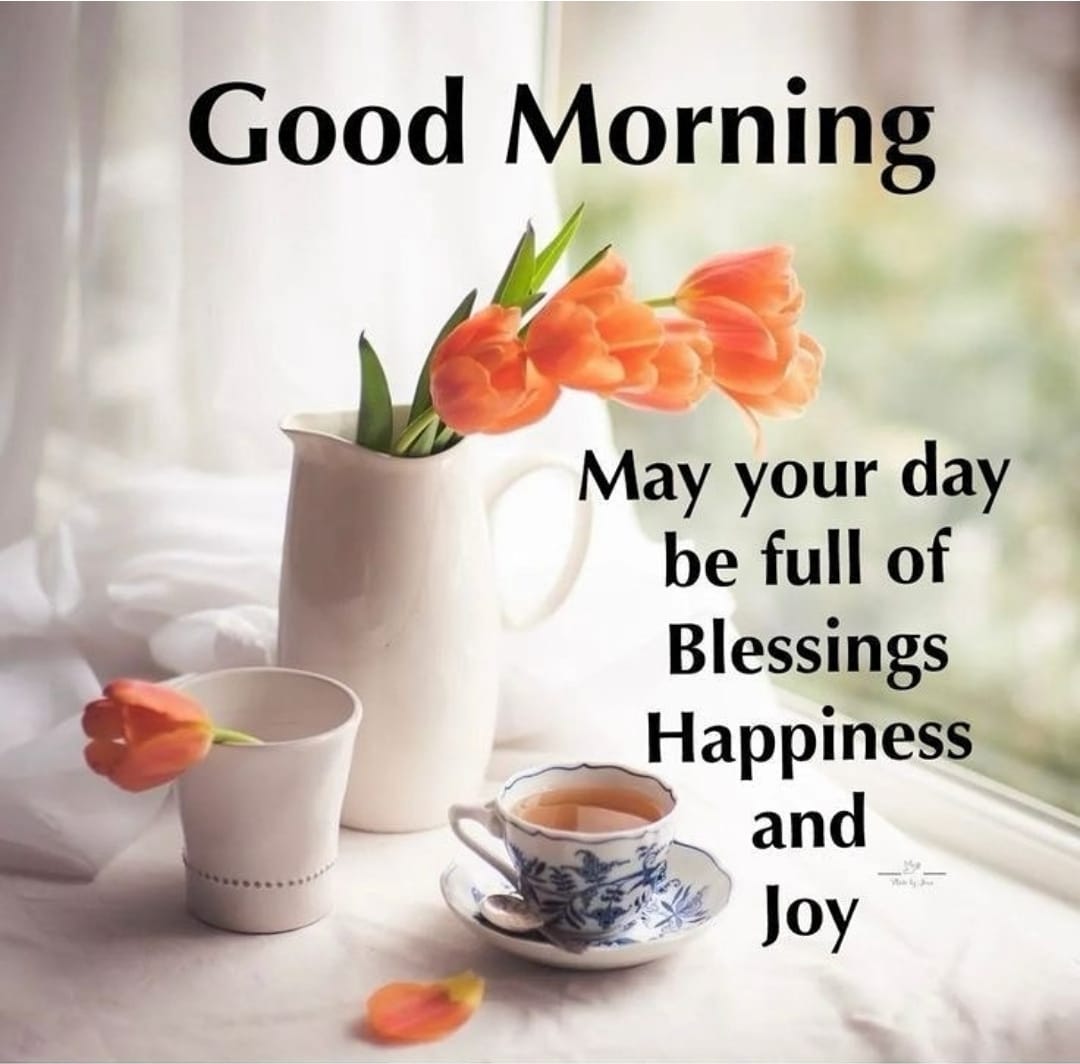 GarfieldJackso7's tweet photo. @delmarsquireja Blessings https://t.co/qLbrCgjeMa