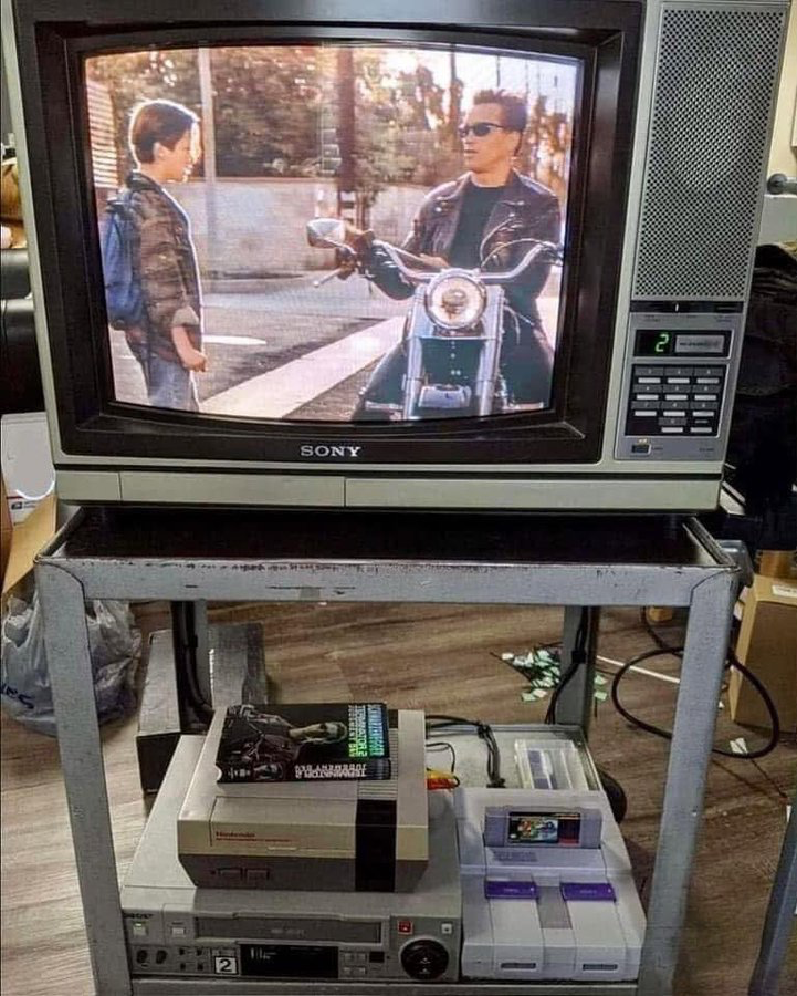cinesthetic. tweet media