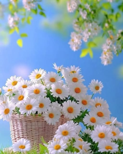 IdrousB's tweet photo. ويكفيني أنَّ كلّ ما منحته في حياتي كان صادقاً حقيقياً 
و من عُمق قلبي ؛ 
ولا مرة أوهمت أحداً بمكانةٍ مزيفة 
أو شُعور غير حقيقي ، 
ولا مرة وهبت كامِل طاقتي لأجل غرض أو مصلحة أو قصد..
حتى سلامي أضع فيه كل المودّة والودّ واللّين ؛ 
وهذه أكبر انتصاراتي🤎
يسعد مساكم https://t.co/TdYIrmsWvu