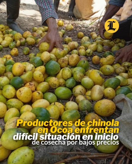 EuricSanti's tweet photo. Como les vengo diciendo: la idea es destruir toda la producción local... pero seguimos enfocados en que "los productores son los malos"... na', son las cadenas de distribución jodiendo al productor para crear su oligopolio.

En fin... dirán que es "odio a la riqueza", pero el productor es un trabajador CAPITALISTA que solo quiere REGLAS CLARAS para vender su PRODUCCIÓN.

Para algunos, el libre mercado solo es bueno cuando beneficia a sus amos y señores...