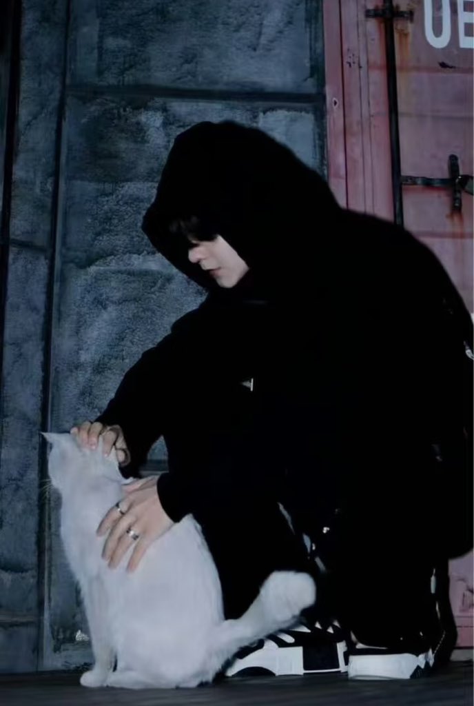 하쁨 tweet media