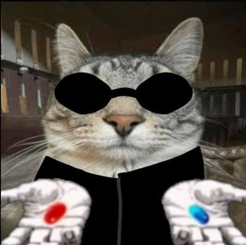 Elliot_Prime's tweet photo. @koop0x You mean the next multi-billion memecoin?

Scoop $Zazu at this price. This may be the last time you see this level.

0xfEc77a3C34C4a11a87bcdb6813343d105B33f262

#Eth #EthMemes https://t.co/7K6dEjAy0S