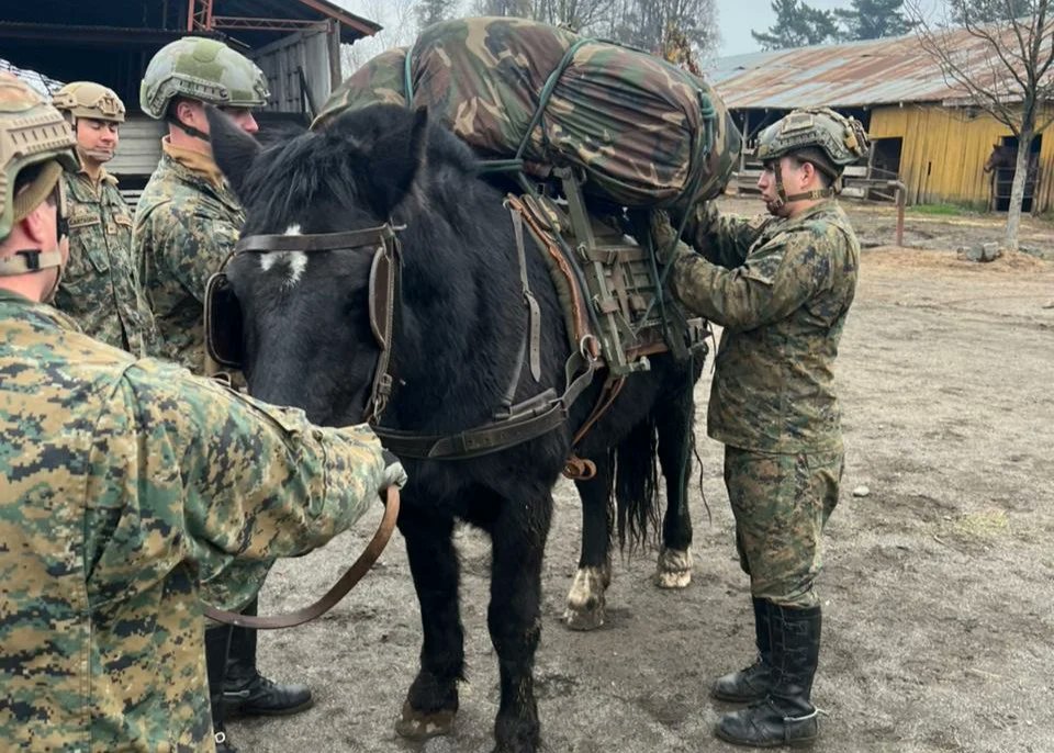 Ejercito_Chile's tweet photo. 𝐂𝐄𝐋𝐎𝐌 𝐜𝐞𝐫𝐭𝐢𝐟𝐢𝐜𝐚 𝐲 𝐫𝐞𝐚𝐥𝐢𝐳𝐚 𝐚𝐬𝐢𝐬𝐭𝐞𝐧𝐜𝐢𝐚 𝐚𝐥 𝐞𝐧𝐭𝐫𝐞𝐧𝐚𝐦𝐢𝐞𝐧𝐭𝐨 𝐝𝐞 “𝐄𝐱𝐩𝐥𝐨𝐫𝐚𝐝𝐨𝐫𝐞𝐬 𝐌𝐨𝐧𝐭𝐚𝐝𝐨𝐬”.
➡️https://t.co/XhsymvNsG2
Durante este proceso, adquieren las competencias necesarias para emplearse en misiones de reconocimiento y abastecimiento logístico, además de mantener la capacidad operacional del personal en el empleo de medios a lomo y montado.