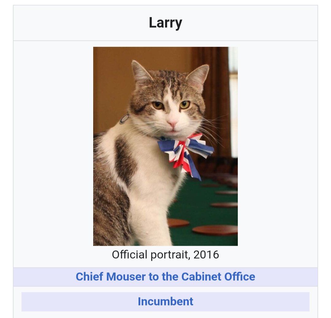 mikitaposts's tweet photo. The most stable position in the British government https://t.co/E9P8T9ilZM