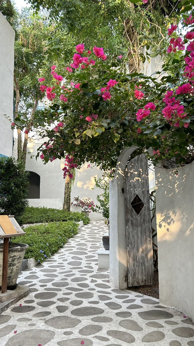 hiamericano's tweet photo. 🏠resort Depaskani🌅

เวลาอยากพักใจ หรือstaycation จะเลือกโรงแรมนี้ที่หัวหิน มาแบบปล่อยสมองเลย ชอบที่นี่มาก ใกล้หาด ตอนเช้าสามารถเดินไปดูพระอาทิตย์ขึ้นได้ด้วย บุฟเห่อาหารเช้าอีก พนง.ก็น่ารักมากๆแบบมากกกกก https://t.co/RhCOivURob