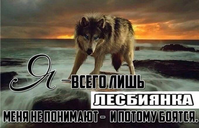 pheliberry's tweet photo. вокруг этой картинки строилась моя личность https://t.co/G6ZOyUS1to