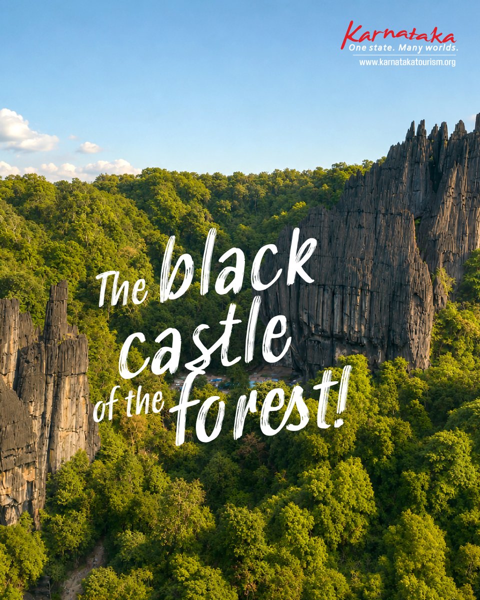 KarnatakaWorld's tweet photo. Enter a world of towering limestone spires hidden deep within the forests of the Western Ghats.

#Geology #Limestone #CaveTemple #WesternGhats #Mythology #Pilgrimage #ExploreKarnataka #KarnatakaTourism https://t.co/gK0eOSOupO