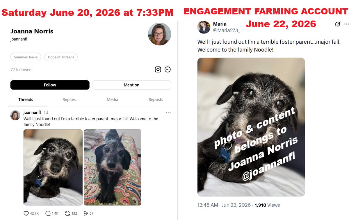 Nemo688507's tweet photo. ⚠️📢POSTING THIS AGAIN. (RIGHT) "Maria" ( Maria273_ ) new Pakistan engagement farming account (joined June 2026) is already stealing - (LEFT) photo &amp; content from Joanna &amp; Dogs of Threads. Already has 133 replies. REPORT AS SPAM. Maria273_    ( @ before username ) Thx https://t.co/62vJNq5rhU