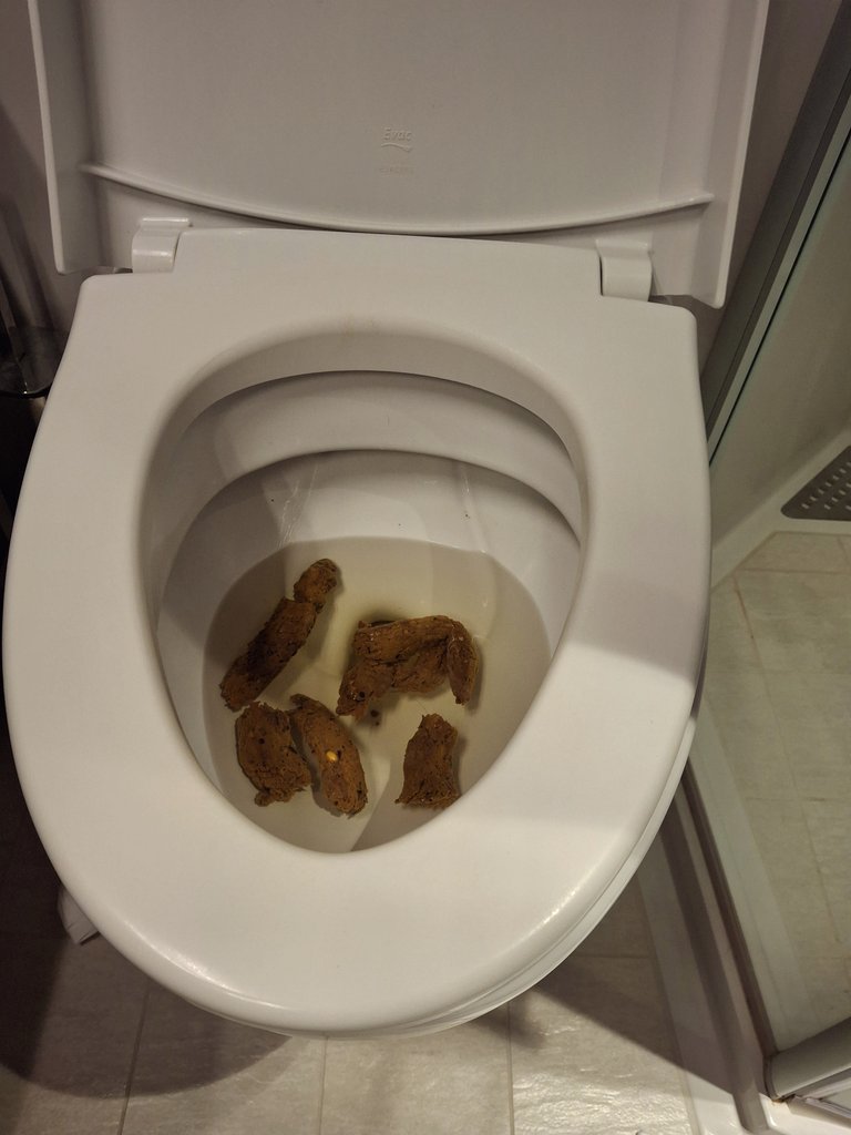 Scumfagtoilet's tweet photo. Last nights dinner was sooo ta$ty🍲... 

Here lo$er, don't you agree? 💩

#gayfindom #alphapig #shitpig #gayshit https://t.co/30AWXcKdtB