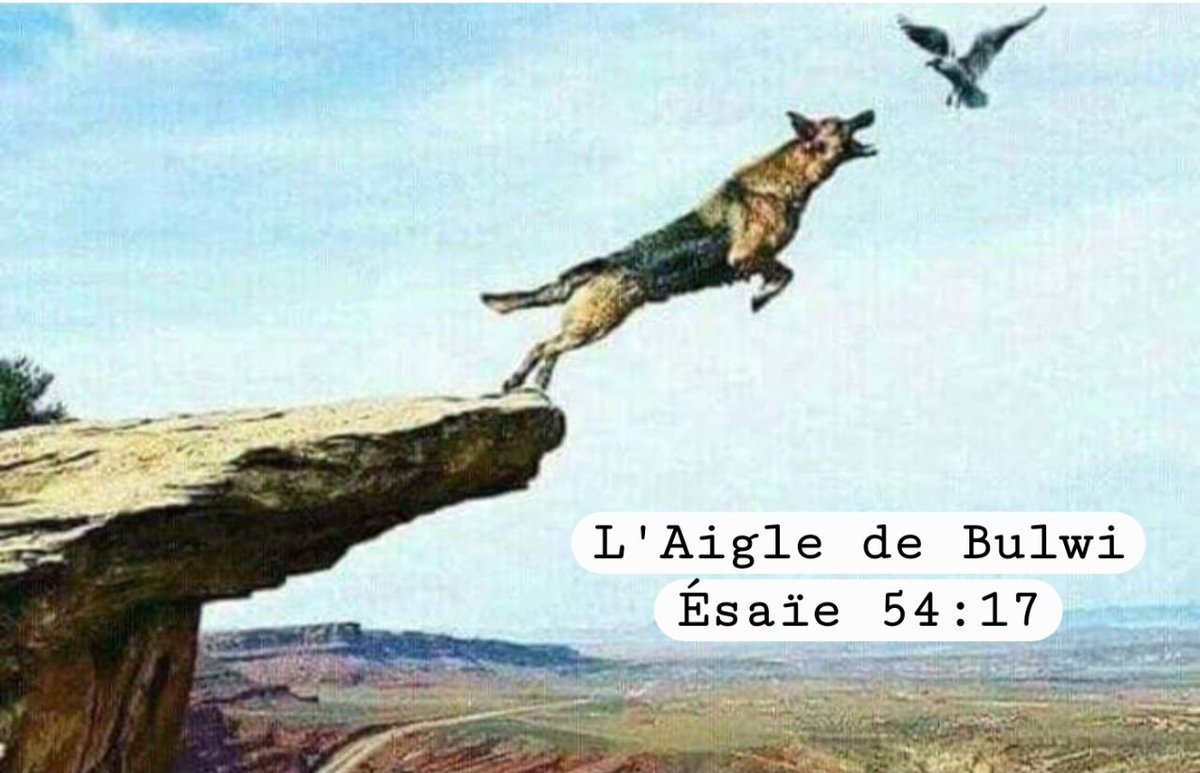 didierkamerhe1's tweet photo. Dieu merci, 

Enfin le grand Mwalimu a accepté de se retirer pour un temps relativement long à plusieurs milliers de kilomètres en dehors du pays pour sa méditation et restauration personnelle. 

Ce débat puéril et suicidaire du changement de la Constitution peut continuer son bonhomme de chemin sans lui.

Enfin, l'aigle a accepté de quitter le marigot pour prendre de la hauteur tant réclamé par la population.