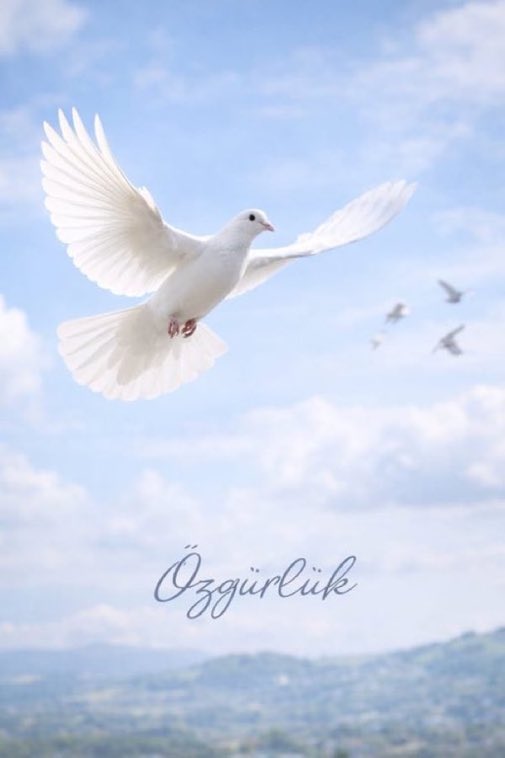 KarterSongul's tweet photo. “15 Temmuz'u kınıyoruz. Demokrasiye ve insan hayatına yapılmış saldırıyı şiddetle reddediyoruz. 
Türk Silahlı Kuvvetleri'nde ast personel emre itaat eder. Bu hem yasal zorunluluk hem mesleki yükümlülüktür. ”
#15TemmuzunMağdurAskerleri 
#AdaletNöbeti @avidrissahin https://t.co/8E95H8yDgU