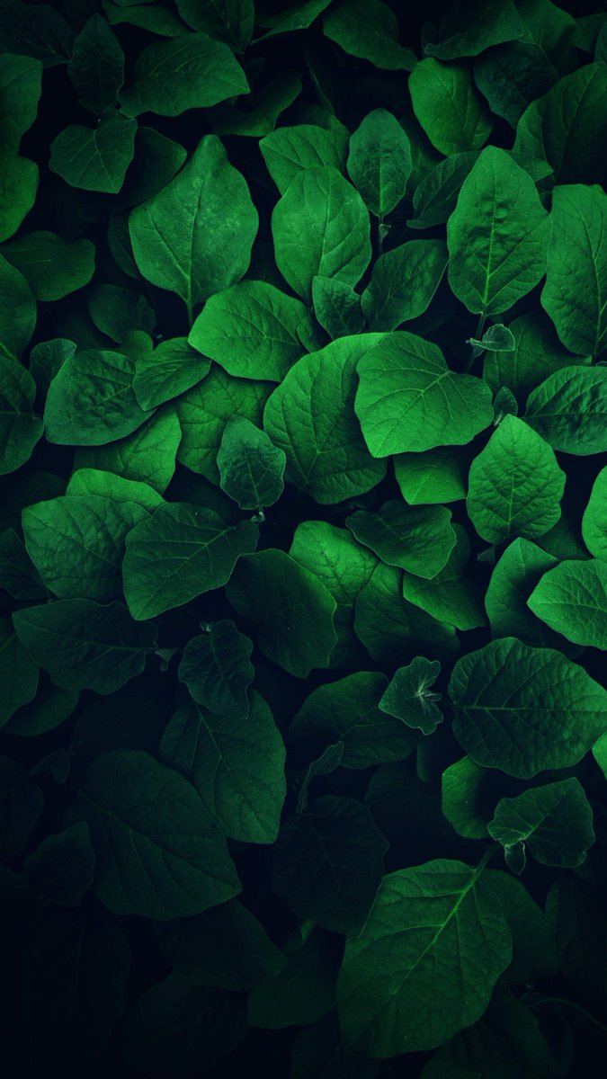 AntwanOya's tweet photo. 🕯️ 😄 👍 🥳 🌳 😊 The older I get, choose what compounds, because small habits become loud results. https://t.co/DBre5vQKuN