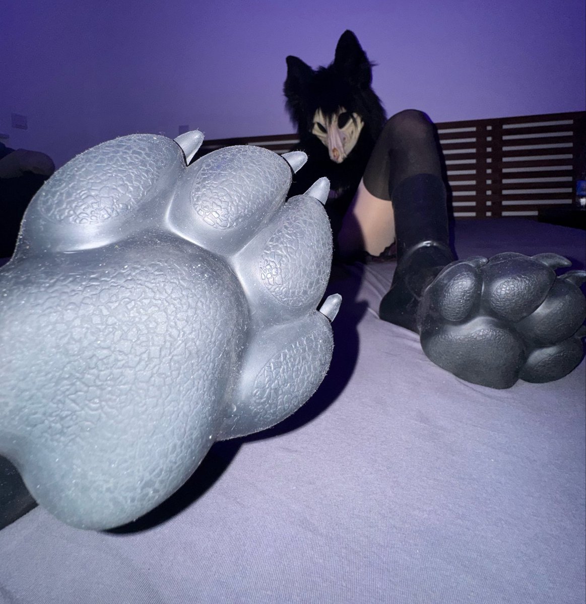 bonedawg1471's tweet photo. Lick em~ https://t.co/lKzzD03f2Q