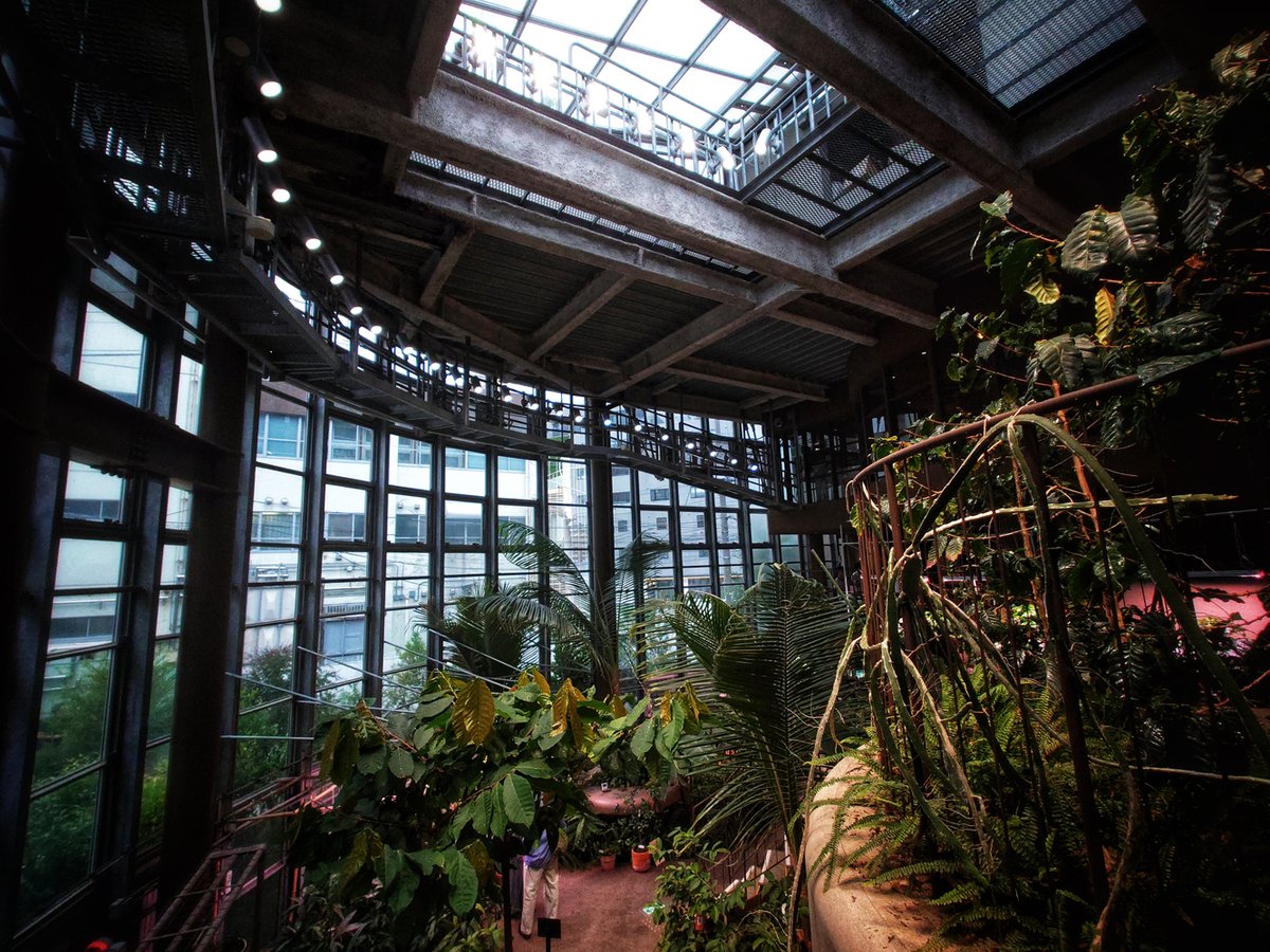 FieCro's tweet photo. 渋谷区ふれあい植物センターへ。
雰囲気が良くてコンパクトな植物園でした🌿
（カフェは待ちが出る人気ぶり）

恵比寿駅から歩いたのですが、
駅ナカにヱビスビールのタップバーが..！
さすがは麦酒の街、格好いいな～

#敷嶋重工写真部 https://t.co/3lKwIJakdX