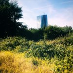 Photo by ECB of the Day (@ECBoftheDay)