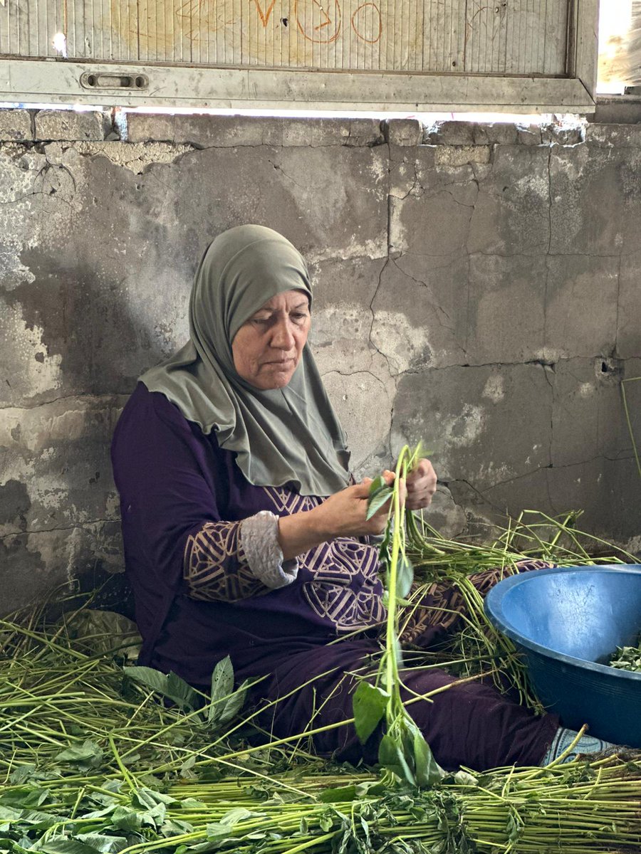ShadiaHamad01's tweet photo. 🌷 Despite the pain and hardship I face, I remain grateful and hopeful. Thanks to God, and then to your generous donations and prayers, I am able to prepare my meals and keep going. ❤️
https://t.co/7CzT4smeXO
 You are a great source of support and hope. 🤲🌹
@ireallyhateyou https://t.co/zX4VyLUpvm