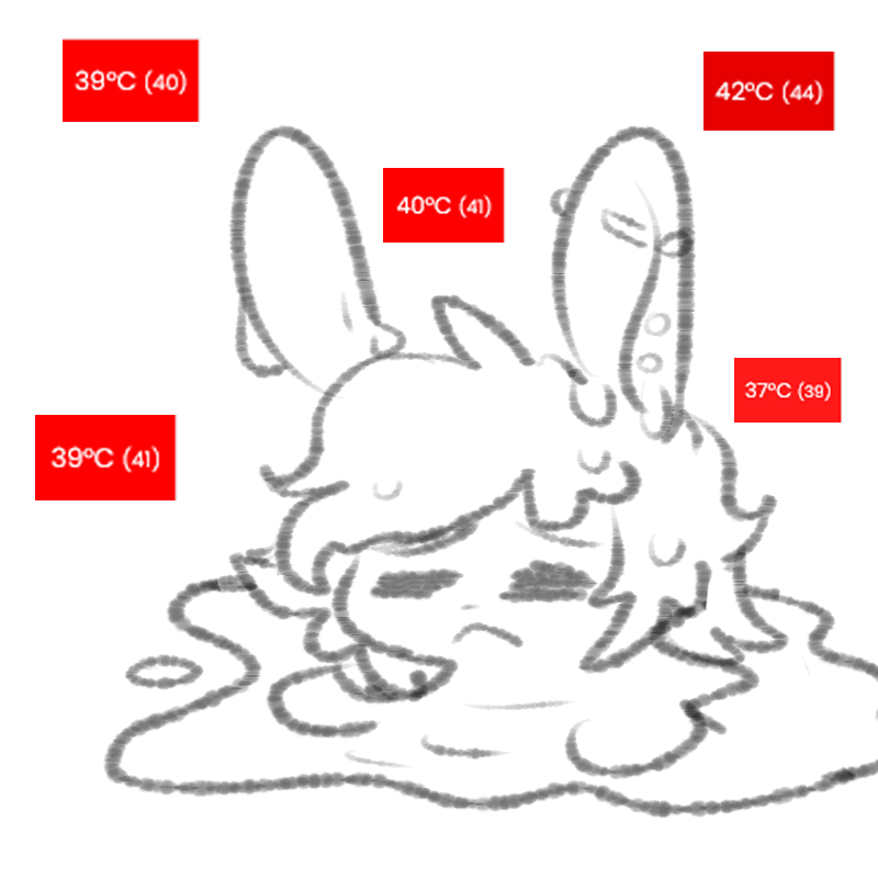 BunnybitsVT tweet picture