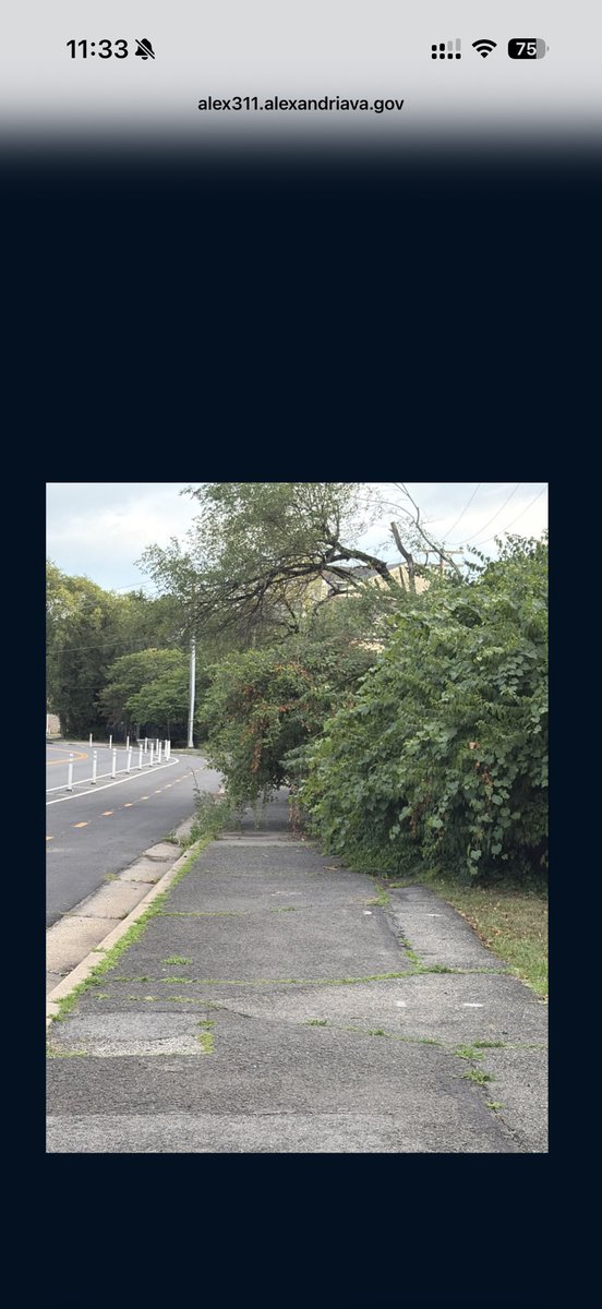 mckcait25's tweet photo. @AlexandriaVATES this really needs sorting before expected date stated in request form, 2027. This is blocking the sidewalk for pedestrians and wheelchair users , needs removing 
Near 195 Telegraph Road, Alexandria 22314 https://t.co/t9BOX0CEAv