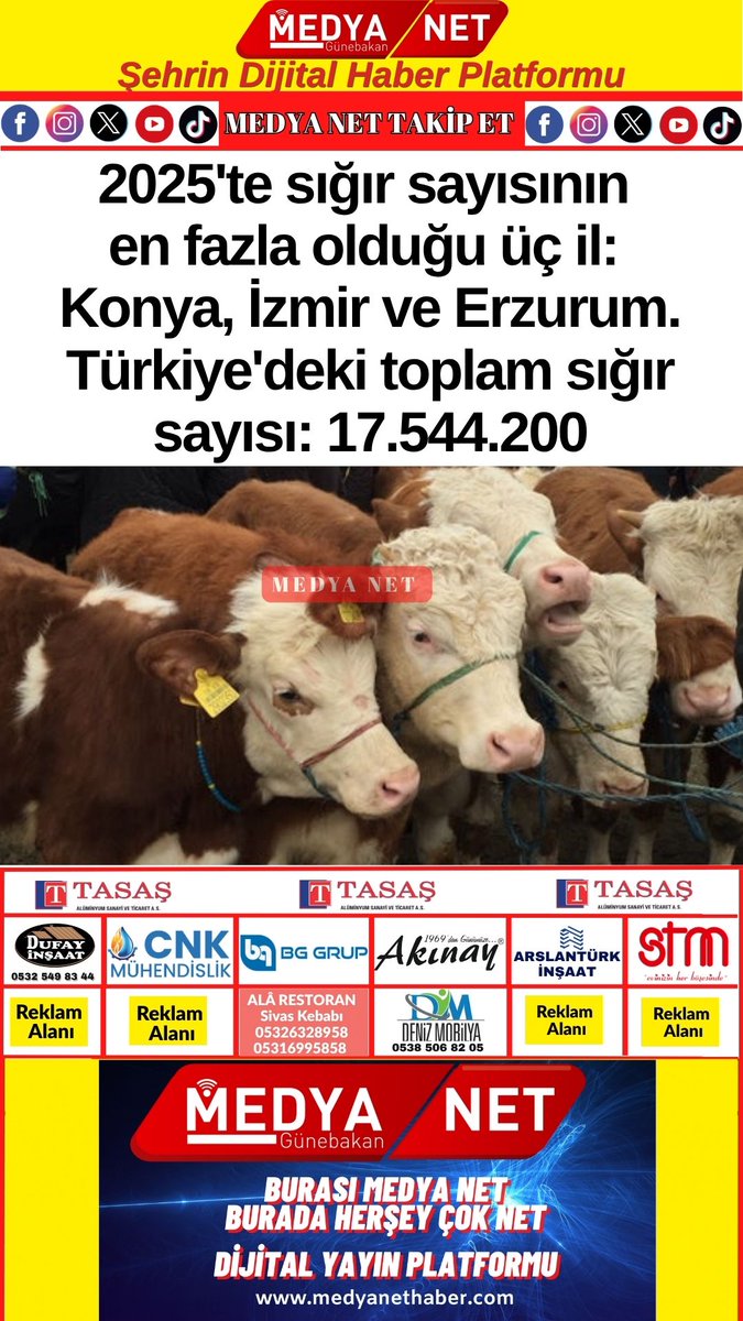 gunebakanhakan's tweet photo. #türkiye #hayvan #medyanet #hayvansayısı #tuik https://t.co/NP75yFpIKy