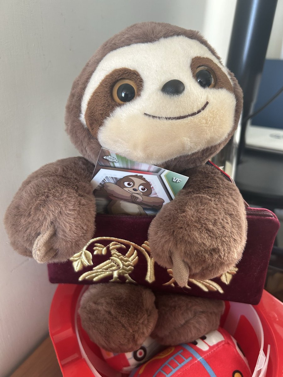 HUNGimage's tweet photo. Hi! ๐๐
#selflesssloth @veefriends https://t.co/KQqK3Qw7Ra