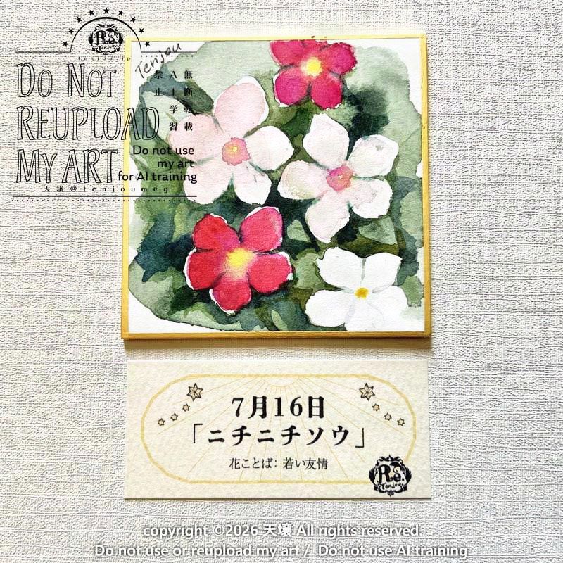 新作紹介】 今日は7月16日 誕生日の方はおめでとうございます！ 今日の