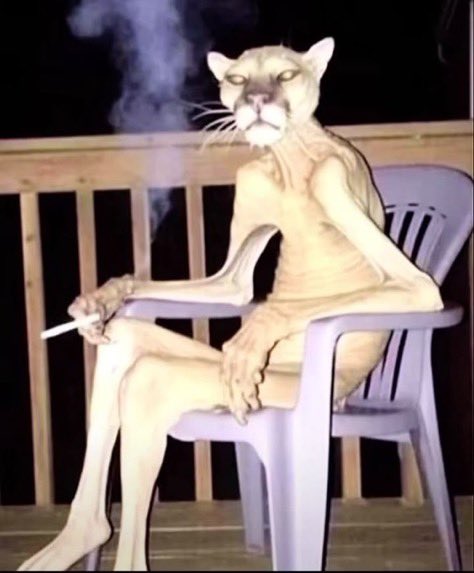 bacteriaimunda's tweet photo. chuvinha boa pra fumar um cigarrinho deitada na rede https://t.co/eI0NYmYZdA