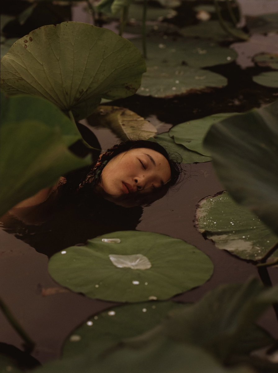 caucasusvisuals's tweet photo. Kalmyk folktale "Lotus".

Photo: Arslan Abushinov

The Kalmyk folktale "Lotus" is a poetic and melancholic legend that explains the origin of the sacred lotus flower. It tells a story of the deceptiveness of beauty, loyalty, and great loss. https://t.co/jllcBGPmaH