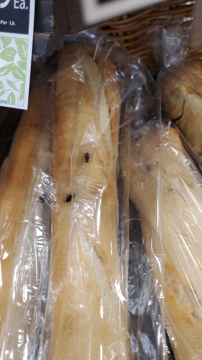 BarbaraCalo's tweet photo. @FoodLion 1001 Harden Street, Columbia SC 29201. Dead flies on French Baguettes. This is unacceptable! https://t.co/nOa06s9Hfy