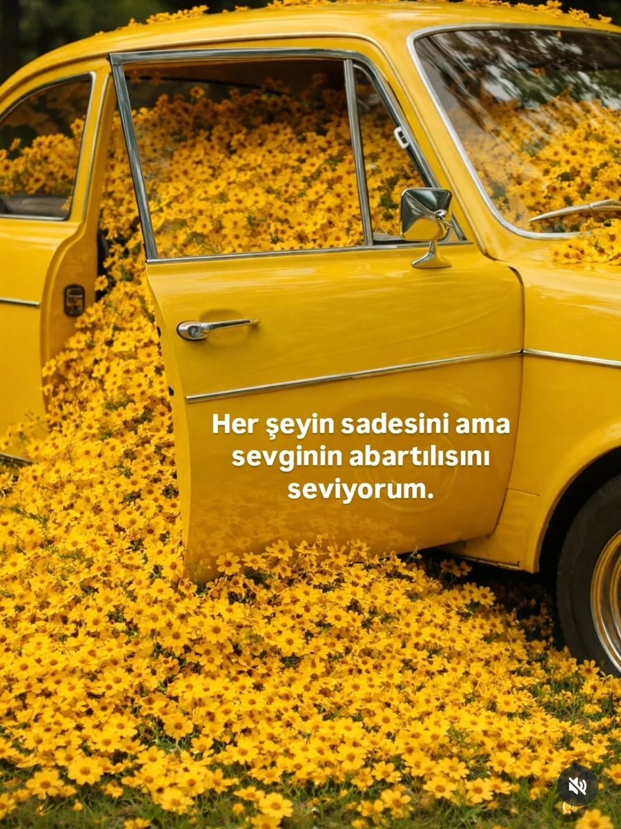 Haletihissiyat's tweet photo. https://t.co/c0qdNxpYGc