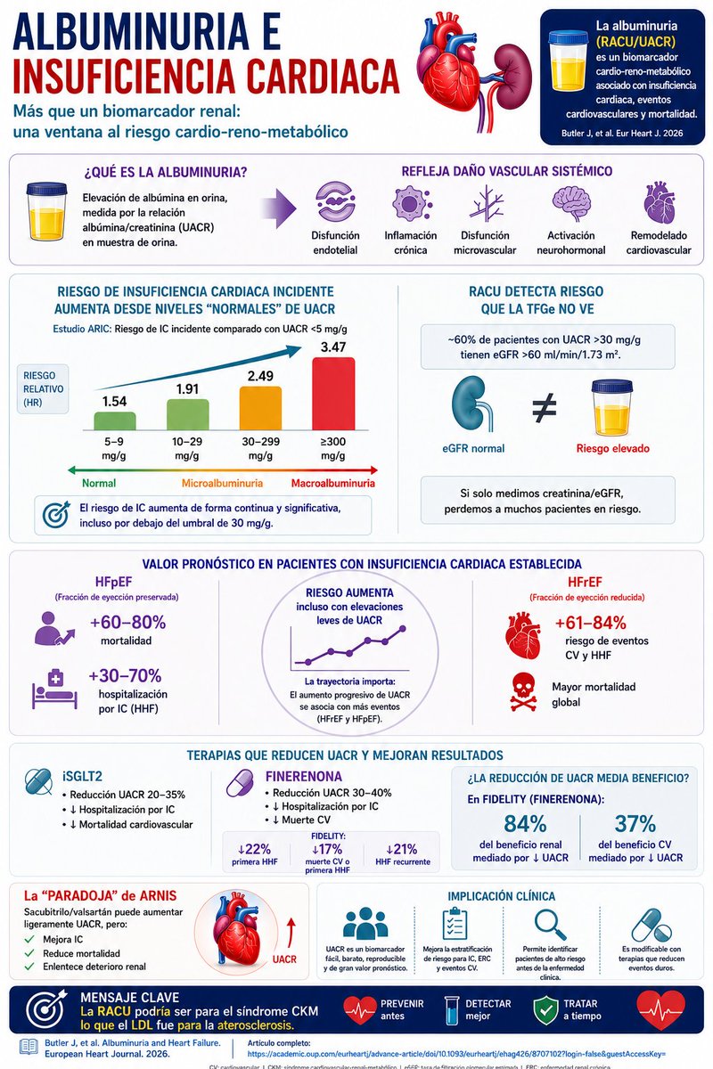 dr_gmenzav's tweet photo. ❤️🫘 ¿Estamos subestimando uno de los biomarcadores más importantes en insuficiencia cardíaca?

Acabo de revisar el excelente State-of-the-Art Review de Butler et al. en European Heart Journal sobre albuminuria e insuficiencia cardíaca.

Algunas ideas que me parecieron especialmente relevantes:
✅ La RACU (UACR) no es solo un biomarcador renal.
✅ Predice insuficiencia cardíaca incidente, hospitalización y mortalidad cardiovascular.
✅ El riesgo de IC aumenta incluso con valores de albuminuria considerados "normales".
✅ ~60% de los pacientes con RACU >30 mg/g tienen TFGe >60 ml/min/1.73 m² y podrían pasar desapercibidos si solo evaluamos creatinina.
✅ La reducción de albuminuria con iSGLT2 y finerenona se asocia con mejores desenlaces cardiovasculares y renales.

Lo interesante es que este artículo llega a una conclusión muy similar a la nueva Guía CKM 2026:
🧪 NT-proBNP identifica estrés miocárdico
🧪 Troponina ultrasensible identifica lesión miocárdica
🧪 RACU identifica daño microvascular cardio-renal metabólicamente mediado.

Mi principal take-home:
👉 La RACU podría ser para el síndrome CKM lo que el LDL fue para la aterosclerosis.

Si medimos rutinariamente LDL, HbA1c y creatinina...
🤔 ¿Por qué seguimos sin medir RACU de forma sistemática en muchos pacientes con DM2, obesidad, ERC o alto riesgo cardiovascular?

📚 Artículo:
https://t.co/BeG6bklfdM

#CardioTwitter #HeartFailure #CKM #Albuminuria #RACU #UACR #CardioRenal #SGLT2i #Finerenone #PreventiveCardiology