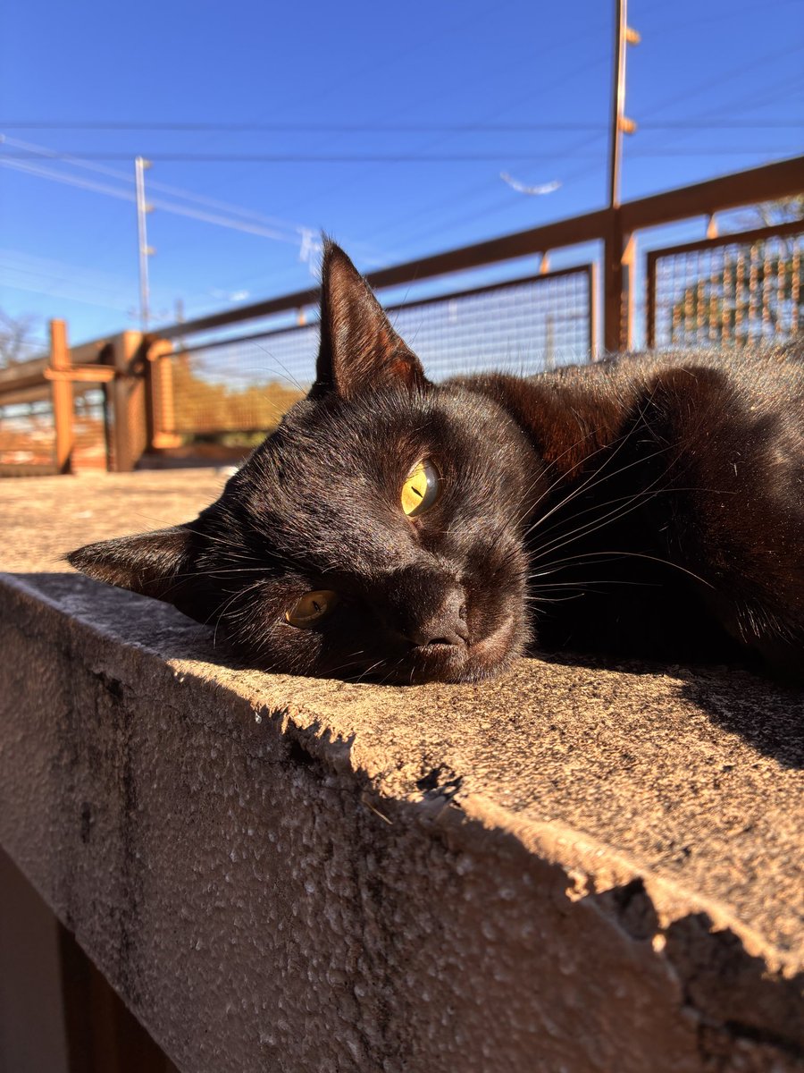 flaavits's tweet photo. Tomando um solzinho https://t.co/aY8LFSeAYg