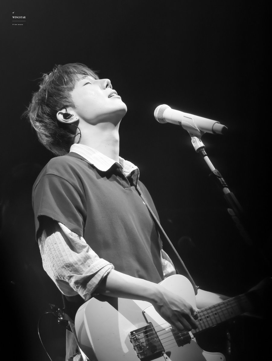 윙스타 tweet media