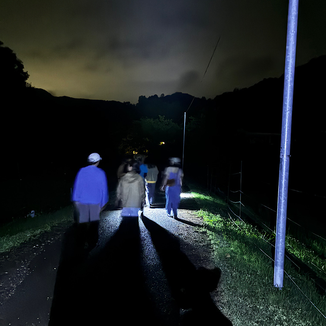 birdbell_diary's tweet photo. 【栃木県佐野市】焚火と静けさを過ごす小さなキャンプ場ゲリラ豪雨の先に待っていた奇跡。ガールズキャンプデイ ～ほたる鑑賞会～｜bird-bellバードベル https://t.co/c6AbdNxSCv https://t.co/bRrqplm6iQ