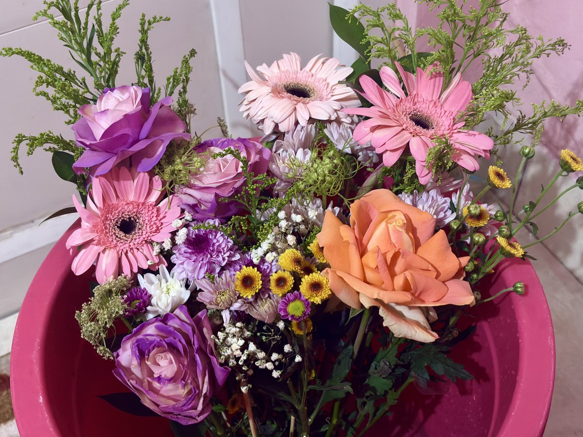 mirdlemist's tweet photo. i cant believe my girlfriend actually used this color palette as the reference for the bouquet she gave me for our first anniversary.. https://t.co/hRGjGVjXcy
