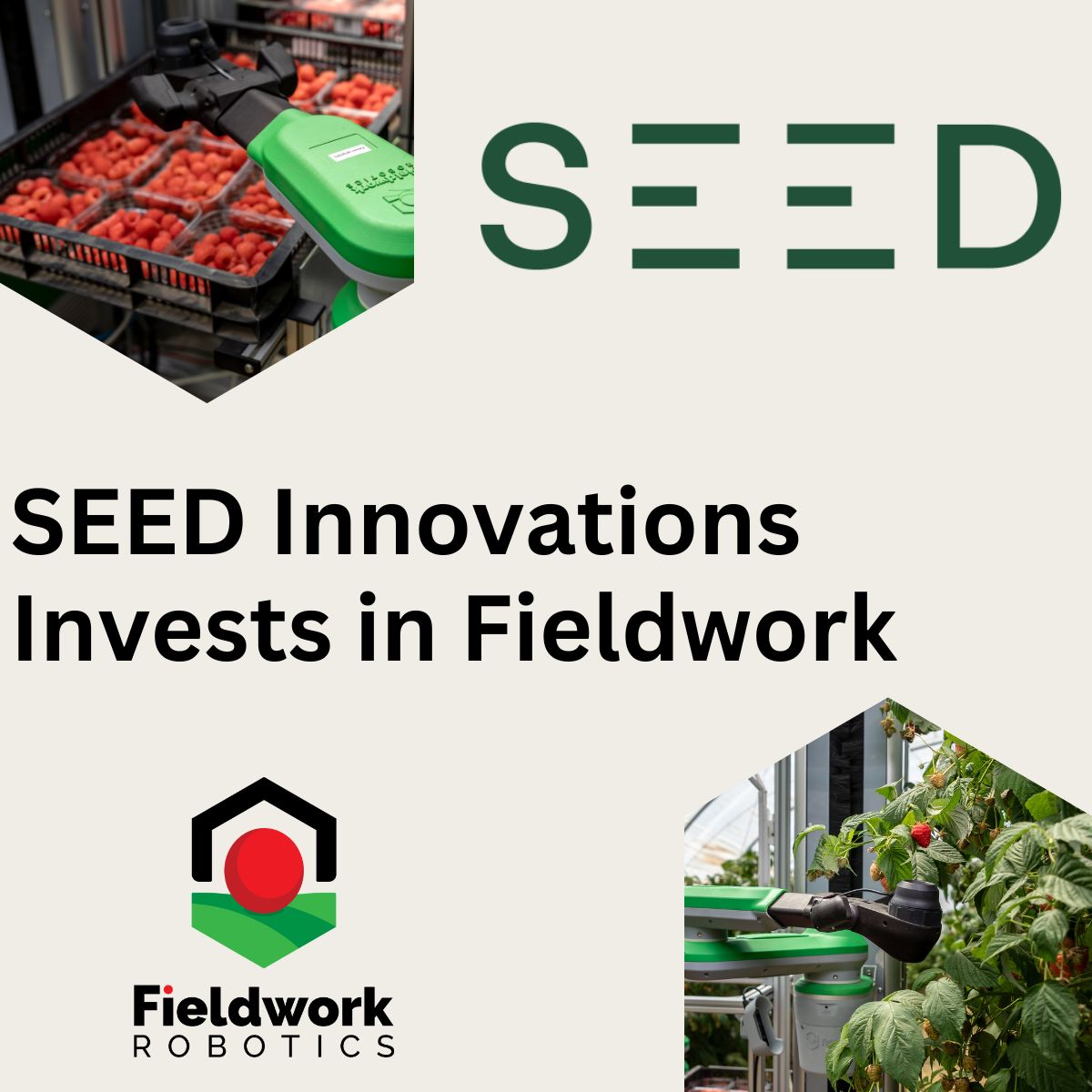 SEEDInnov's tweet photo. New Investee company Fieldwork Robotics, shared news of our investment as part of their Seed+ Fundraise.

Fieldwork is a UK-based agricultural robotics company developing a physical AI-enabled harvesting system for soft fruit growers.

See their announcement here - https://t.co/vsQm6tWCQ4

#AppliedAI #Robotics #Investment