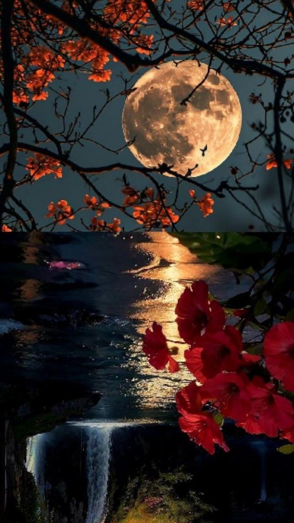 MoonL79480's tweet photo. https://t.co/UMdO8K4oWi