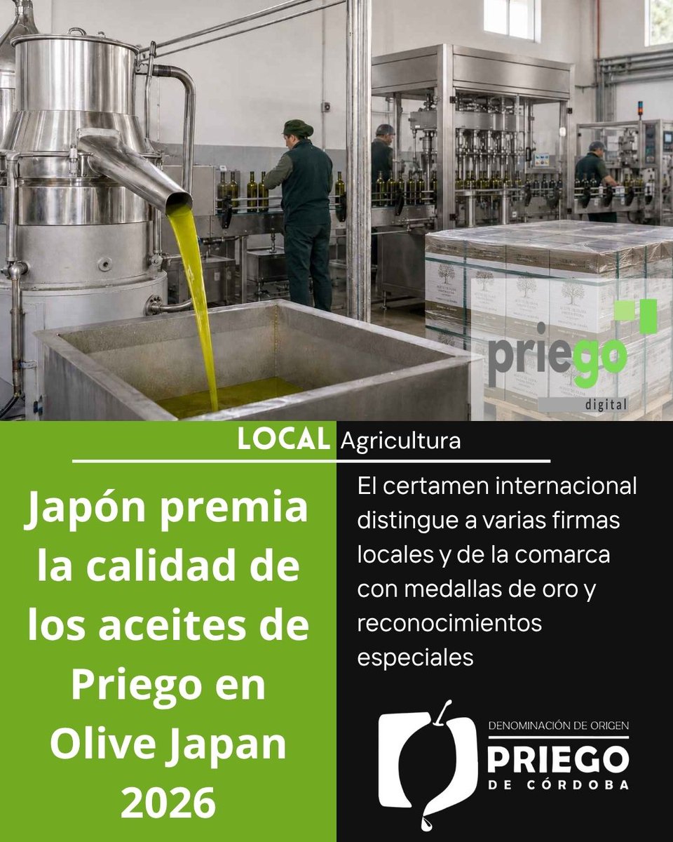 PriegoDigital's tweet photo. Japón premia la calidad de los aceites de Priego en Olive Japan 2026
👉https://t.co/l0z8ZY4LHB

#AceiteDeOlivaVirgenExtra #PriegoDeCórdoba #OliveJapan2026 #AOVEPriego #AceiteDeOliva
#OrgulloPrieguense #AOVE #OroLiquido #SaboresDeAndalucía #PremiosInternacionales https://t.co/PSWxi8aA9S